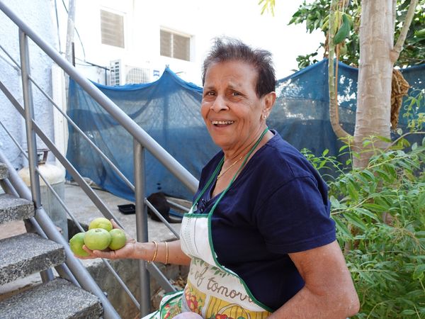 בקר, צילום dsc00108