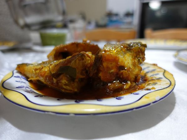 דג מבושל, צילום dsc00297